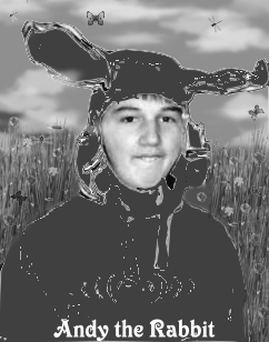 hamtherab.jpg